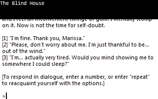 Blind_House_4.png
