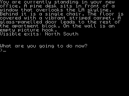 Case_of_Murder__A_in-game_screen__Spectrum_48k_DAAD_version_.gif