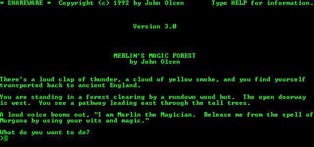 Merlins_Magic_Forest.jpg